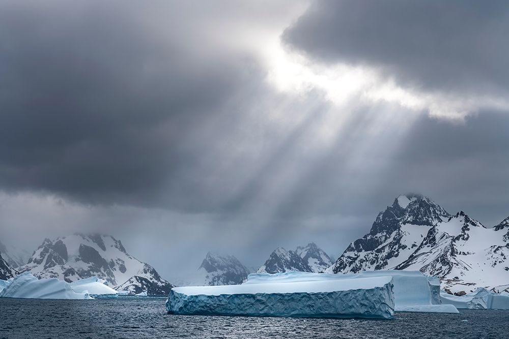 Antarctica-South Georgia Island Sunbeams light up icebergs  art print by Jaynes Gallery for $57.95 CAD